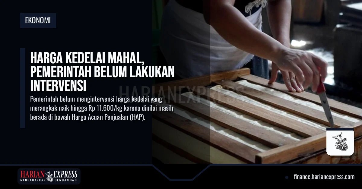 Harga Kedelai Mahal, Pemerintah Belum Lakukan Intervensi