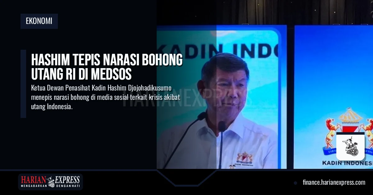 Hashim Tepis Narasi Bohong Utang RI di Medsos