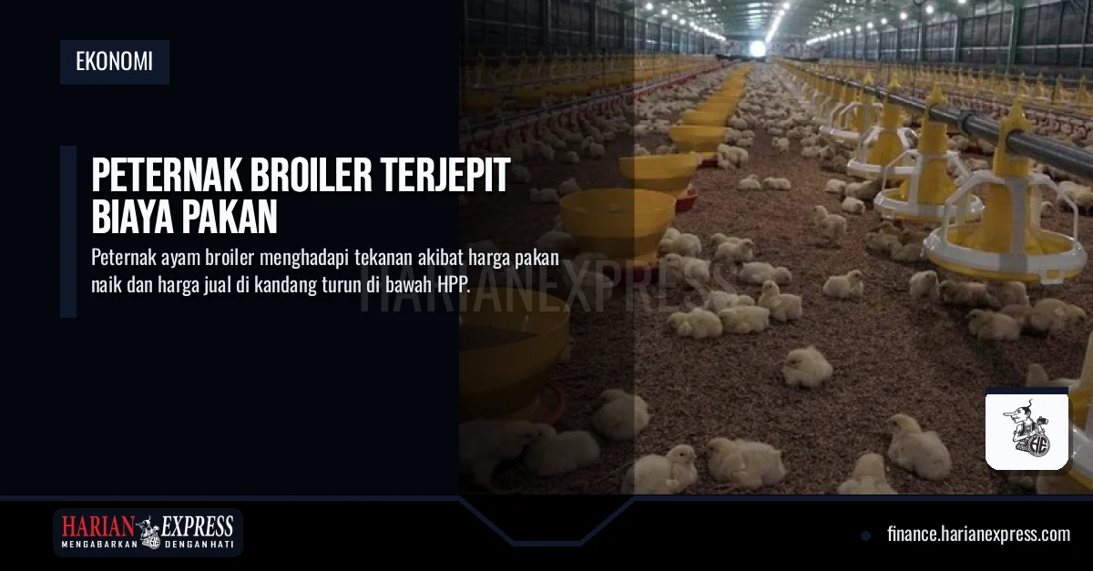 Peternak Broiler Terjepit Biaya Pakan