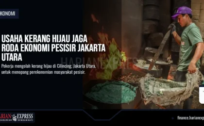 Usaha Kerang Hijau Jaga Roda Ekonomi Pesisir Jakarta Utara